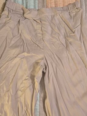 Philosophy Petite Light Taupe Elastic Waist Pants XLP